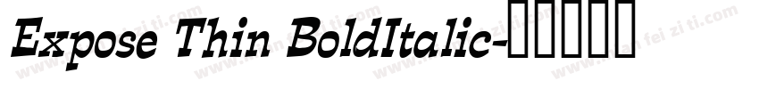 Expose Thin BoldItalic字体转换